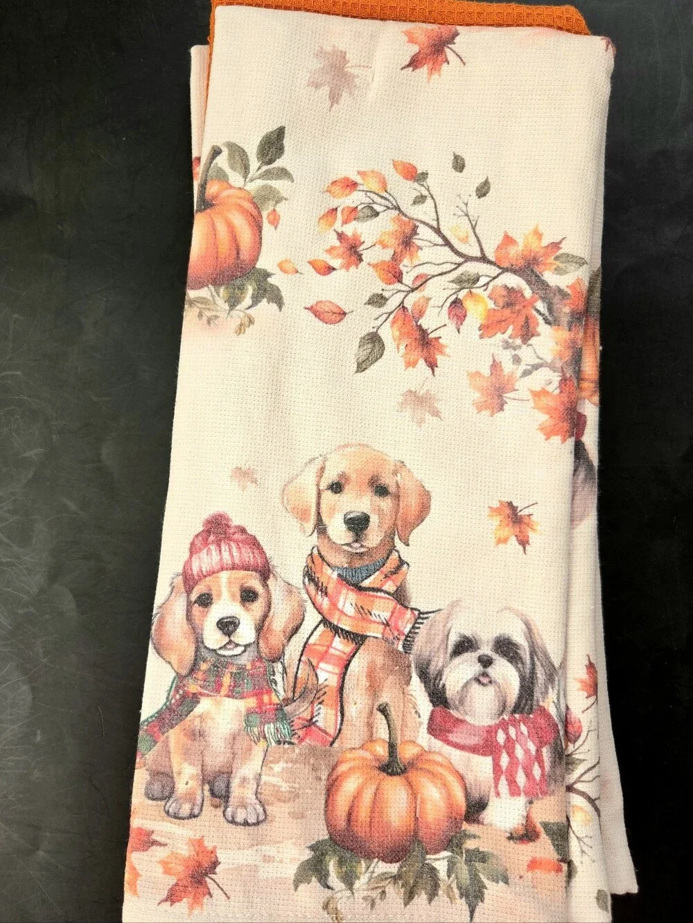 Shabby Chic Rachel Ashwell Farmhouse Set of 3 Kitchen Towels Puppy Dogs Autumn